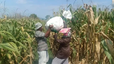 Polres Lombok Barat Kawal Stabilitas Harga Beras untuk Lindungi Warga