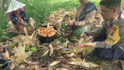 Dari Lahan Pekarangan, Polri Bangun Ketahanan Pangan di Desa