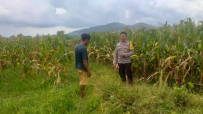 Sinergi Polri dan Warga Wujudkan Kemandirian Pangan di Lombok Barat