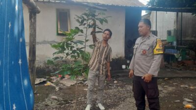 Kuripan Selatan Gerakkan Pekarangan Mandiri untuk Ketahanan Pangan