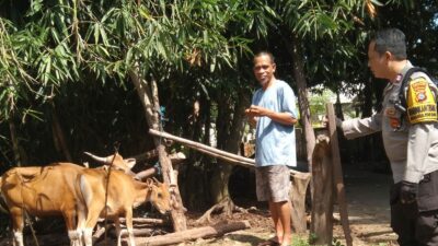 Ketahanan Pangan Berbasis Komunitas di Dusun Melase