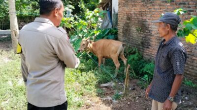 Sinergi Polri dan Warga Lembar Selatan Wujudkan Kemandirian Pangan Keluarga