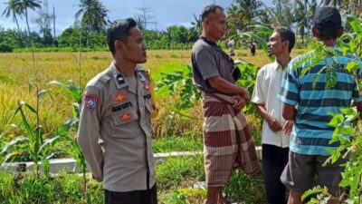 Peran Polisi di Tengah Sawah: Ketahanan Pangan Dimulai dari Dusun Rumak Barat