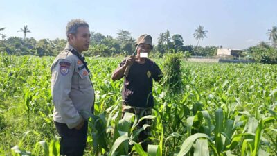 Polsek Batulayar Ajak Masyarakat Perempung Maksimalkan Lahan untuk Ketahanan Pangan