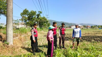 Polri Hadir Bantu Petani Jagung Wujudkan Swasembada di Lombok Barat