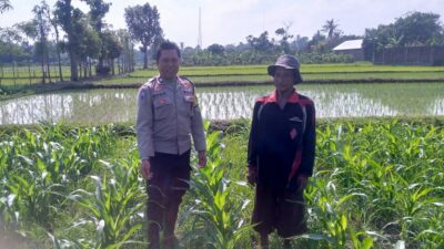 Sinergi Polisi dan Petani di Desa Jagaraga untuk Wujudkan Kemandirian Pangan