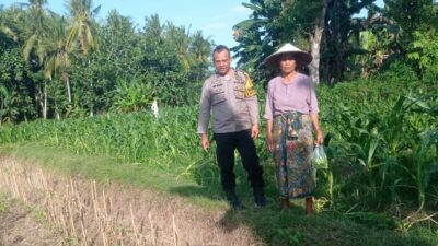 Kunjungan Humanis Bhabinkamtibmas di Kuranji, Pekarangan Jadi Sumber Pangan