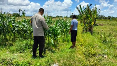 Ketahanan Pangan Diperkuat, Bhabinkamtibmas Desa Labuapi Ajak Warga Produktif