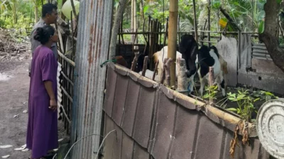 Bhabinkamtibmas Senggigi Ajak Warga Kelola Lahan Kosong Jadi Sumber Pangan