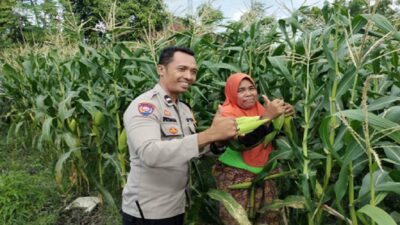 Sinergi Polri dan Warga Labuapi Wujudkan Kemandirian Pangan Keluarga