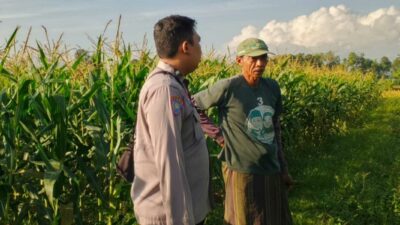 Strategi Polsek Labuapi Perkuat Kedaulatan Pangan Desa