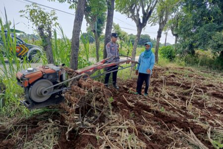Wujud Polisi Cinta Petani, Polsek Tambakboyo Bantu Petani Olah Lahan Dengan Traktor