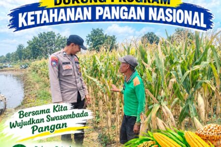 Polsek Palang Dukung Ketahanan Pangan Nasional Melalui Pemantauan Lahan Jagung
