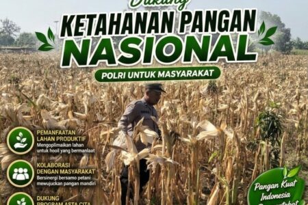 Polri Dukung Astacita, Polsek Rengel Polresta Tuban Turun Cek Tanaman Jagung Warga di Desa Sawahan