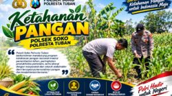 Polsek Soko Polresta Tuban Turun Langsung Cek Tanaman Jagung Warga