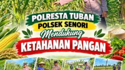 Bhabinkamtibmas Polsek Senori Polresta Tuban Lakukan Pemantauan Tanaman Jagung Warga Desa Sendang Guna Mendukung Program Ketahanan Pangan