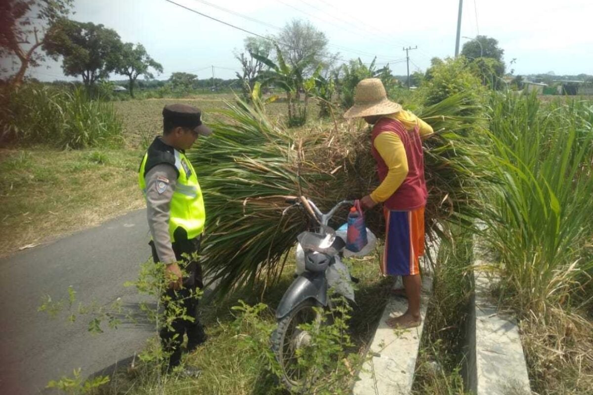 Polri Dukung Astacita, Polsek jenu Polres Tuban Turun Cek Tanaman Jagung Warga di Desa Jenu