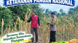 Polsek Palang Dukung Ketahanan Pangan Nasional Melalui Pemantauan Lahan Jagung