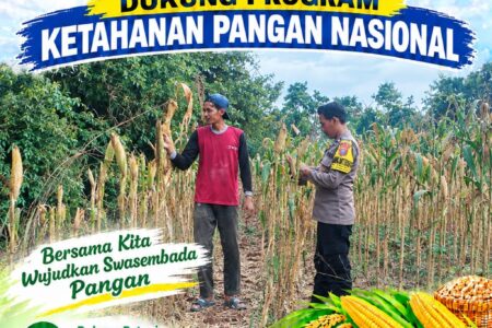 Polsek Palang Dukung Ketahanan Pangan Nasional Melalui Pemantauan Lahan Jagung