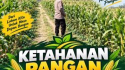 Polsek Soko Polresta Tuban Turun Langsung Cek Tanaman Jagung Warga