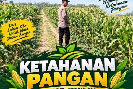 Polsek Soko Polresta Tuban Turun Langsung Cek Tanaman Jagung Warga