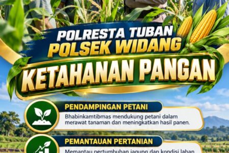 Mendukung Program Ketahanan Pangan, Bhabinkamtibmas Monitoring Pertumbuhan Jagung