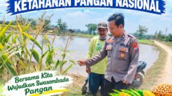 Polsek Palang Dukung Ketahanan Pangan Nasional Melalui Pemantauan Lahan Jagung