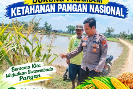 Polsek Palang Dukung Ketahanan Pangan Nasional Melalui Pemantauan Lahan Jagung